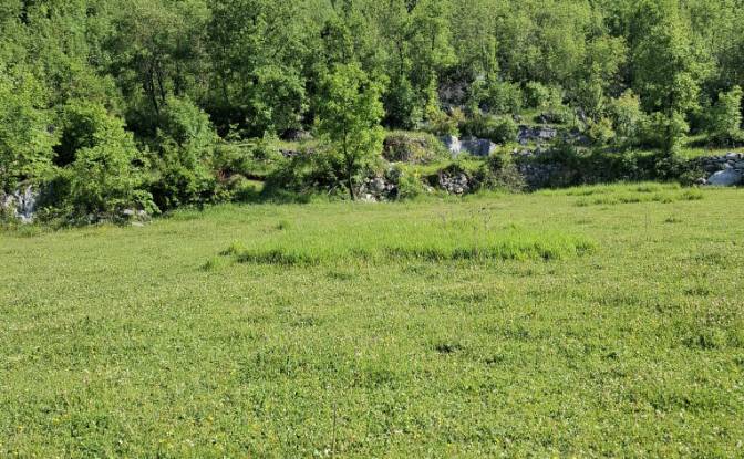 Farm/Ranch for Sale Neimenovani Put, Stitari. Photo#5 Farm/Ranch for Sale Neimenovani Put, Stitari. Photo#5