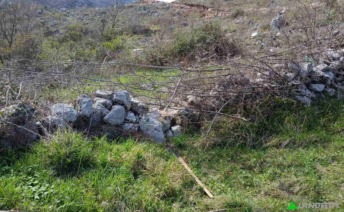 Farm/Ranch for Sale Neimenovani Put, Stitari, Cetinje Municipality, Montenegro. Photo 10