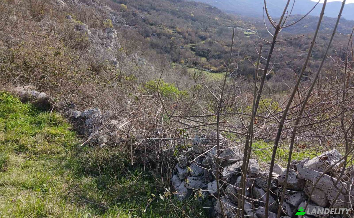 Farm/Ranch for Sale Neimenovani Put, Stitari, Cetinje Municipality, Montenegro. Photo 11