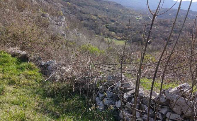 Farm/Ranch for Sale Neimenovani Put, Stitari. Photo#11 Farm/Ranch for Sale Neimenovani Put, Stitari. Photo#11