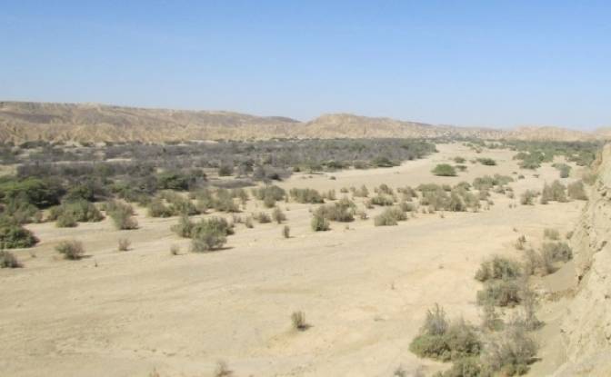 Land Lot for Sale Via Sin Nombre, Angostura. Photo#2