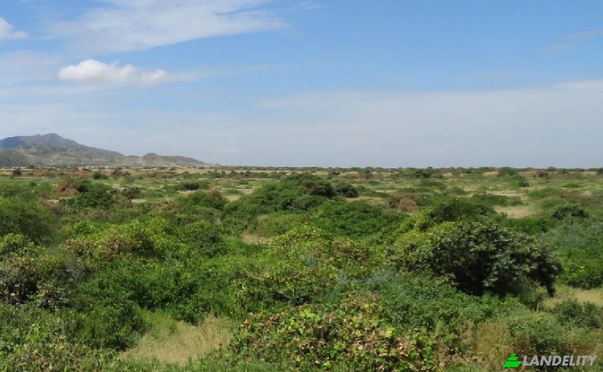 Land Lot for Sale Via Sin Nombre, Angostura, Talara Province, Piura, Peru. Photo 3