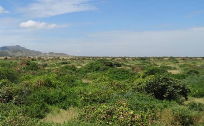 Land Lot for Sale Via Sin Nombre, Angostura. Photo#3