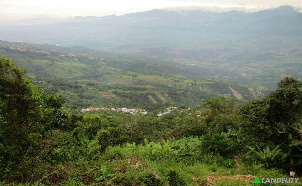 Land Lot for Sale Via Sin Nombre, 01620, Copallin, Utcubamba Province, Amazonas, Peru. Photo 3