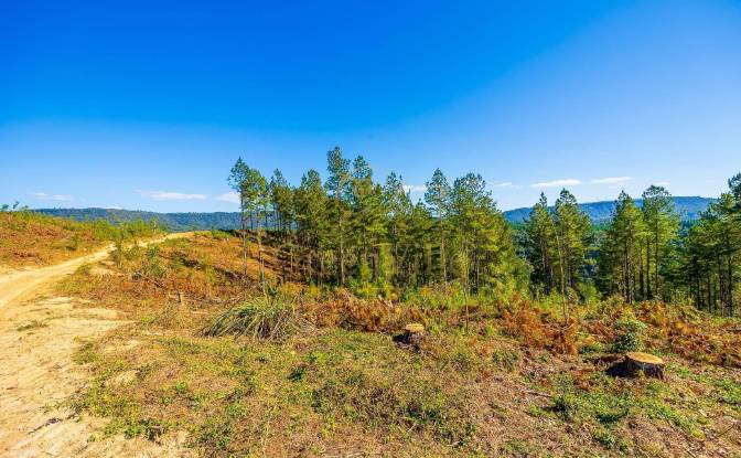 Investing/Development for Sale - Tres Corregos, Brazil