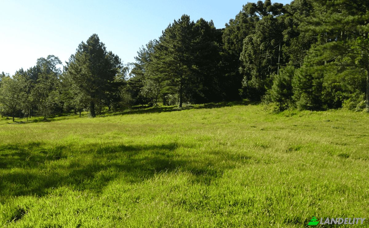 Investing/Development for Sale Tres Corregos, Campo Largo, State of Parana, Brazil. Photo 2