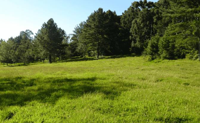 Investing/Development for Sale Tres Corregos. Photo#2 Investing/Development for Sale Tres Corregos. Photo#2