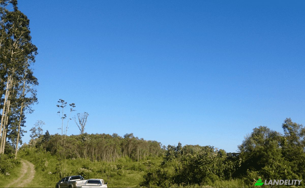 Investing/Development for Sale Tres Corregos, Campo Largo, State of Parana, Brazil. Photo 3