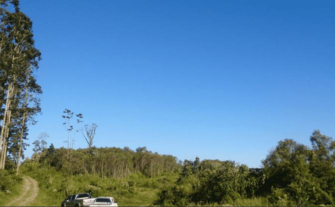 Investing/Development for Sale Tres Corregos. Photo#3 Investing/Development for Sale Tres Corregos. Photo#3