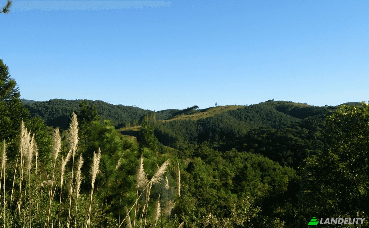 Investing/Development for Sale Tres Corregos, Campo Largo, State of Parana, Brazil. Photo 5