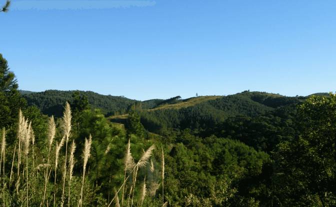 Investing/Development for Sale Tres Corregos. Photo#5 Investing/Development for Sale Tres Corregos. Photo#5