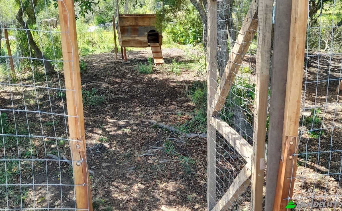 Lotto di terreno in vendita Valdivia, 20500 Aigua, Departamento de Maldonado, Aigua, Maldonado Department, Uruguay. Foto 19