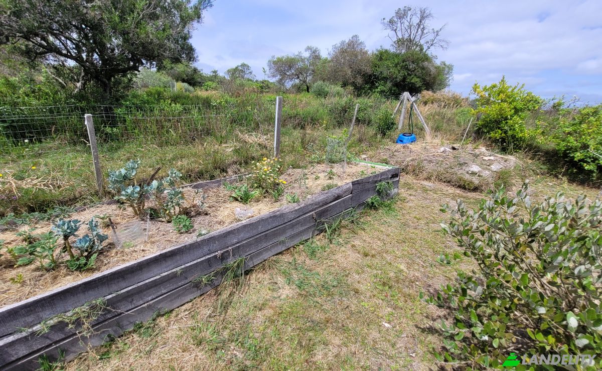 Lotto di terreno in vendita Valdivia, 20500 Aigua, Departamento de Maldonado, Aigua, Maldonado Department, Uruguay. Foto 22