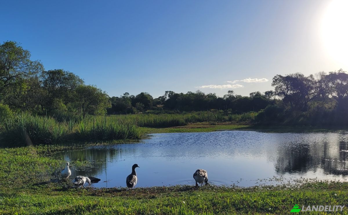 Lotto di terreno in vendita Valdivia, 20500 Aigua, Departamento de Maldonado, Aigua, Maldonado Department, Uruguay. Foto 13