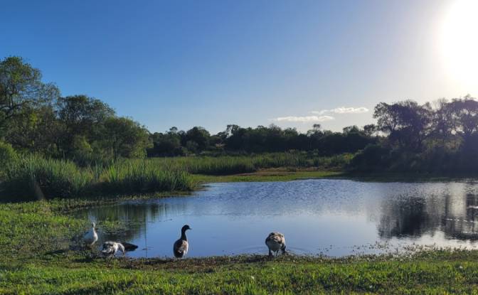 Lotto di terreno in vendita Valdivia, 20500 Aigua. Foto#13