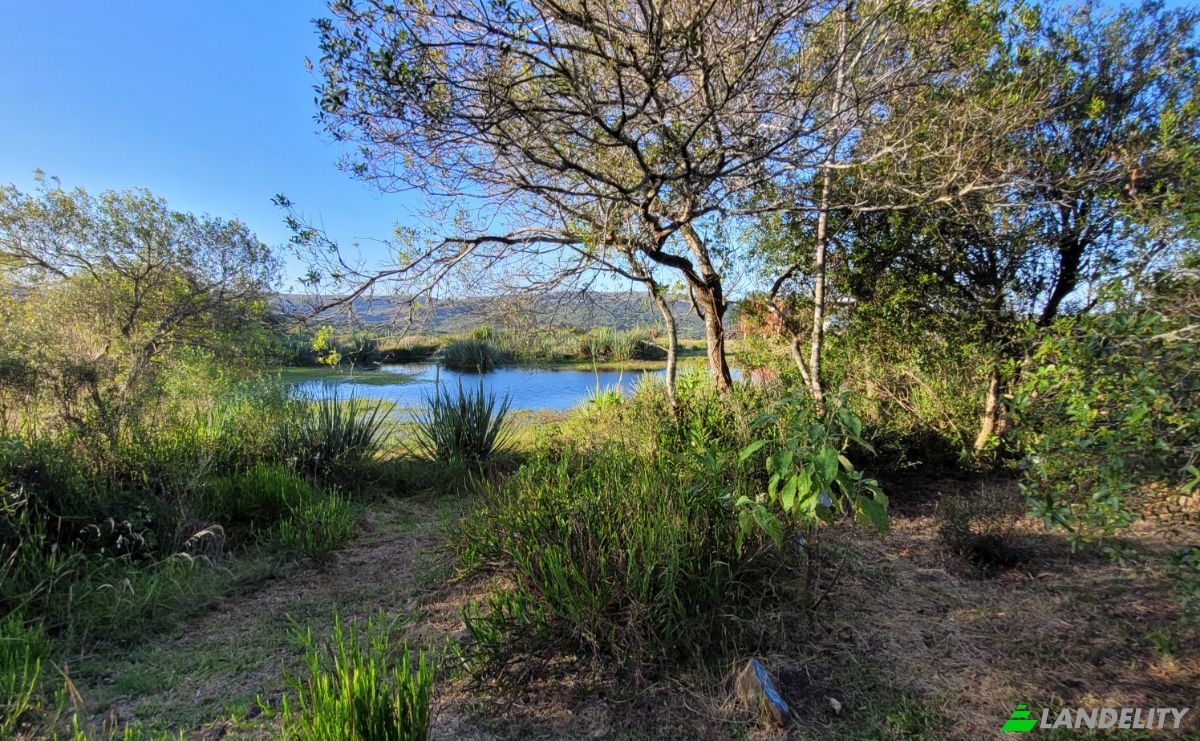 Lotto di terreno in vendita Valdivia, 20500 Aigua, Departamento de Maldonado, Aigua, Maldonado Department, Uruguay. Foto 15