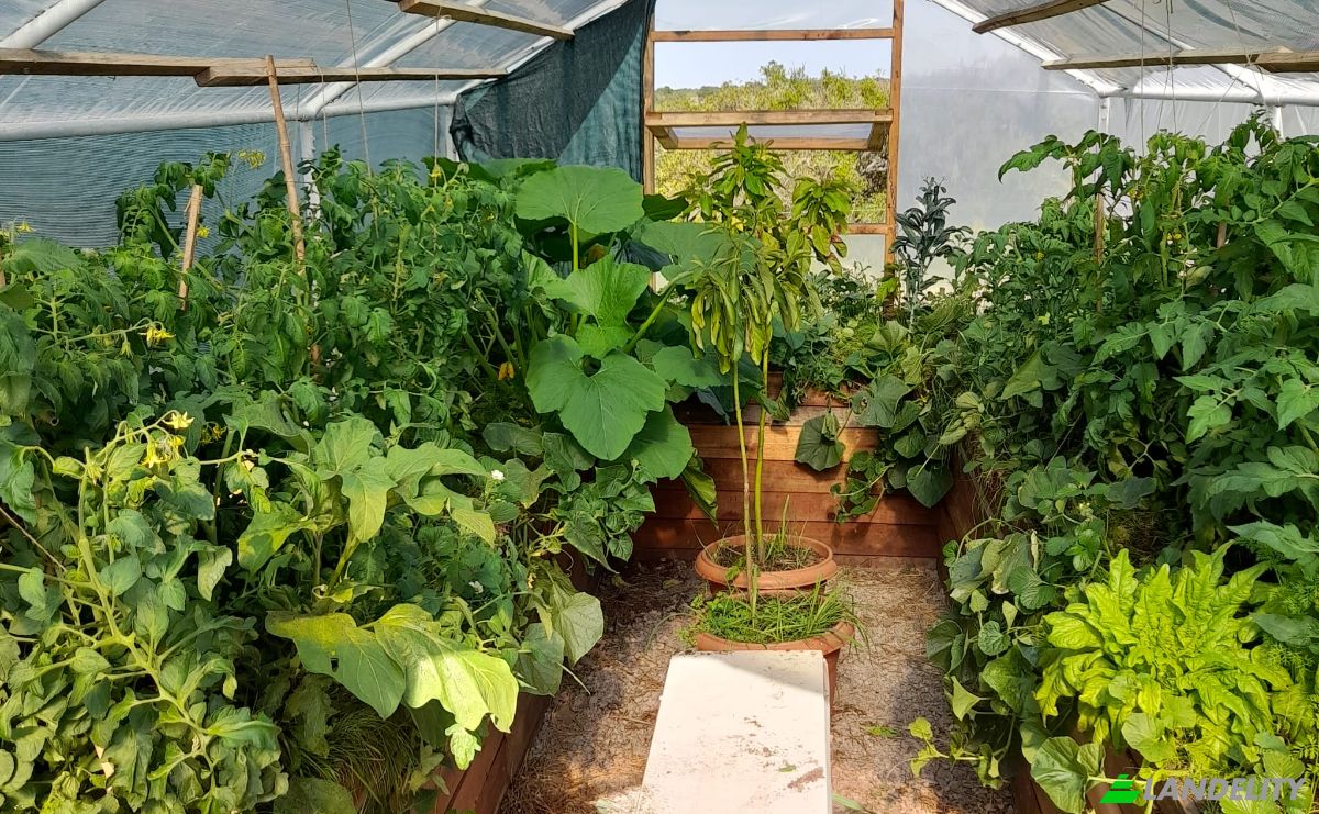 Lotto di terreno in vendita Valdivia, 20500 Aigua, Departamento de Maldonado, Aigua, Maldonado Department, Uruguay. Foto 20