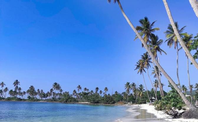 Apartment for Sale Las Galeras 32000, Las Galeras. Photo#3