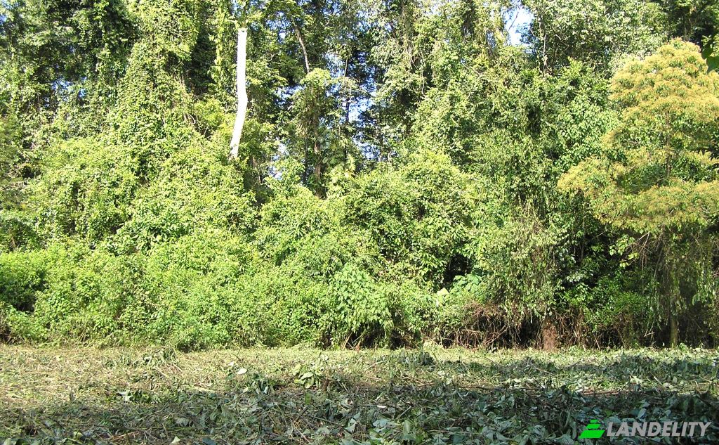 Działka na sprzedaż Las Vinas, Livingston, Izabal Department, Guatemala. Zdjęcie 3