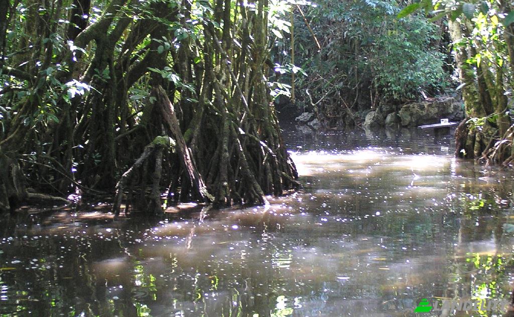 Działka na sprzedaż Las Vinas, Livingston, Izabal Department, Guatemala. Zdjęcie 5