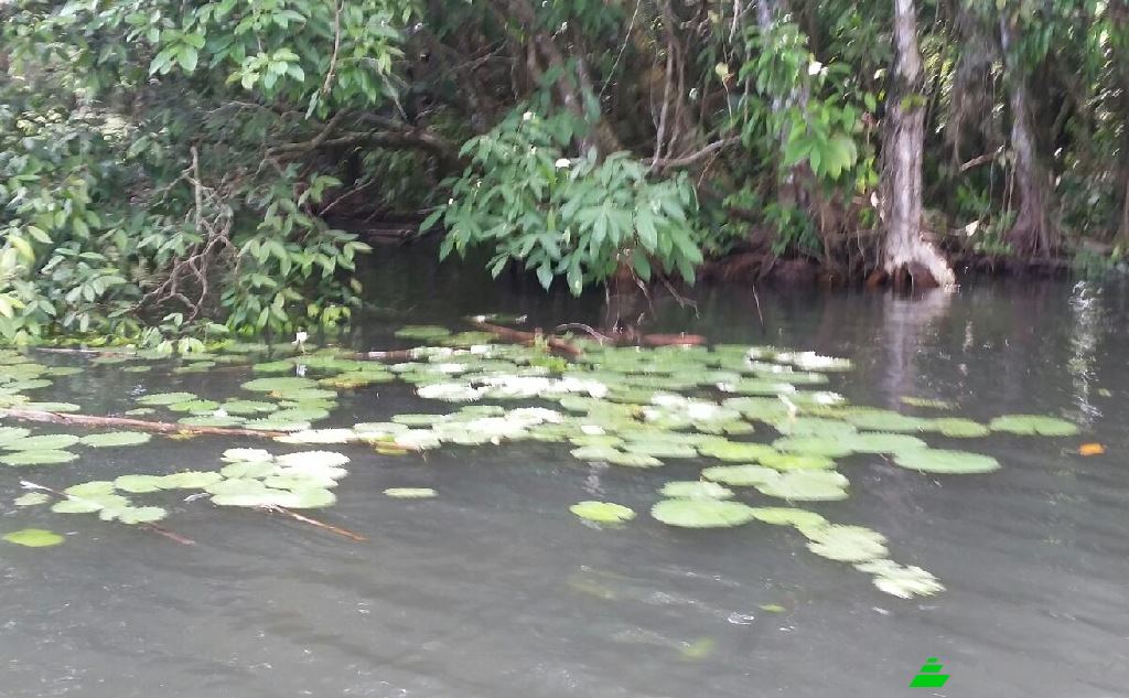Działka na sprzedaż Las Vinas, Livingston, Izabal Department, Guatemala. Zdjęcie 7