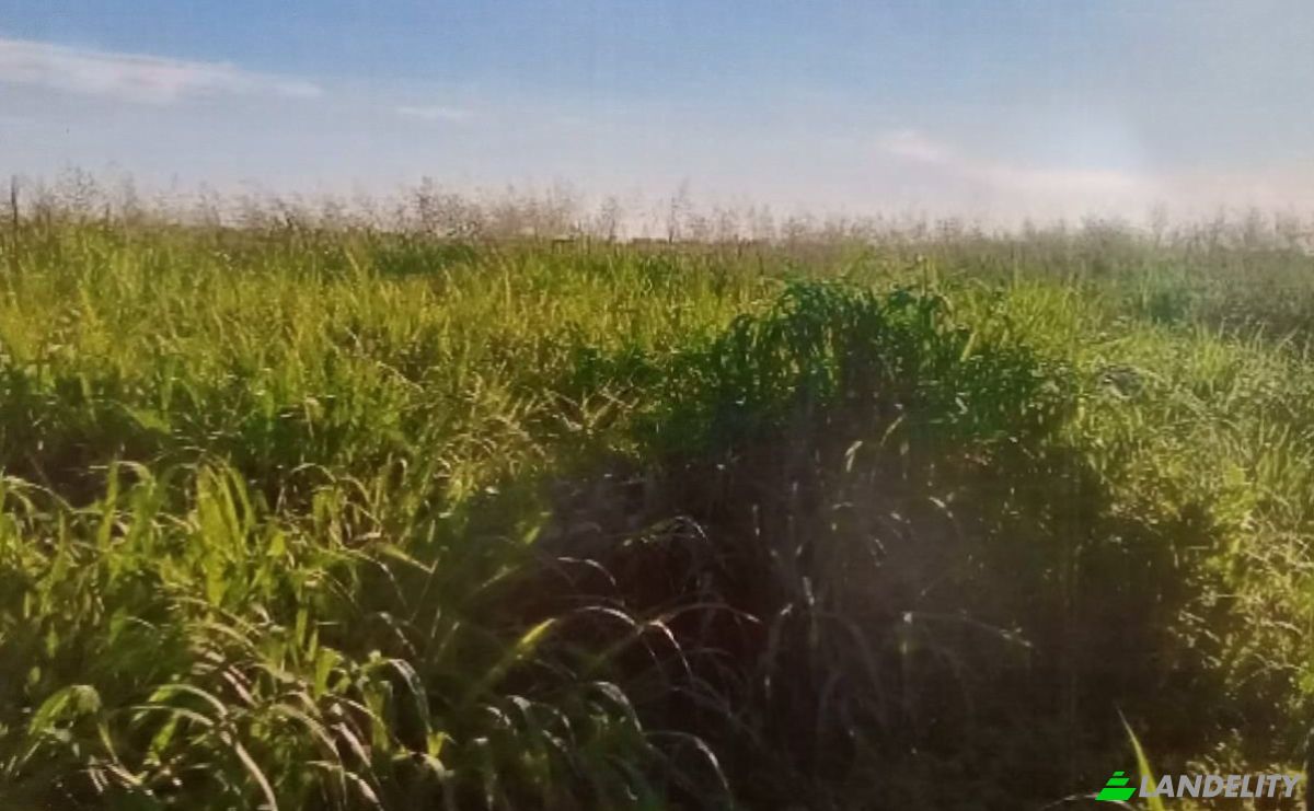 Investing/Development for Sale Zona Mayor Infante Rivarola, 160206, Cruce Don Silvio, Mariscal Jose Felix Estigarribia, Boqueron department, Paraguay. Photo 1