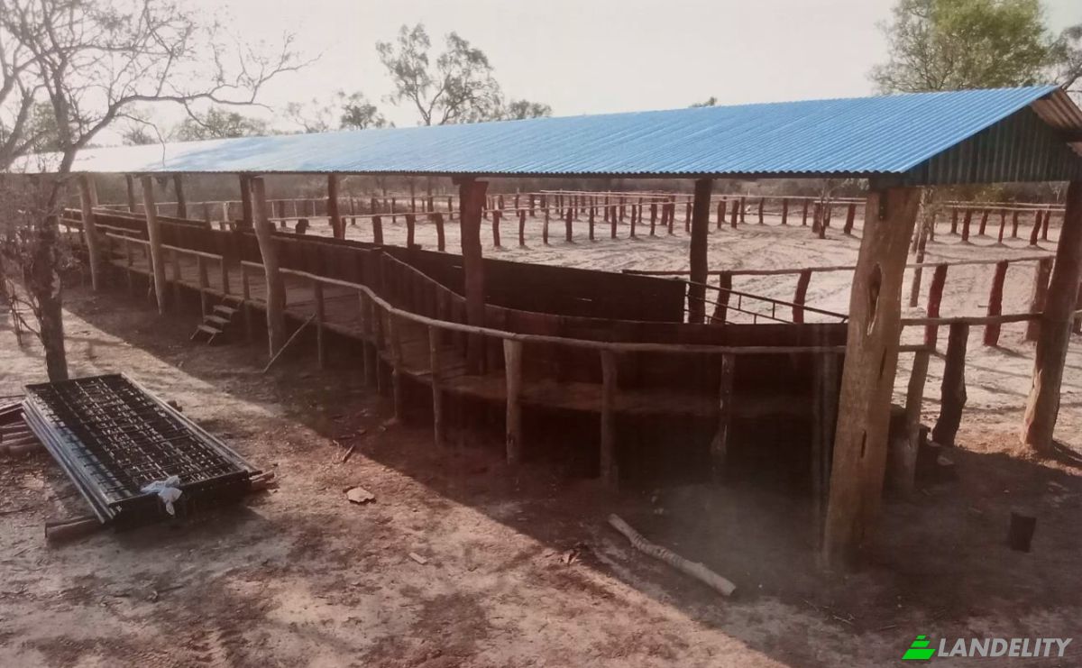 Investing/Development for Sale Zona Mayor Infante Rivarola, 160206, Cruce Don Silvio, Mariscal Jose Felix Estigarribia, Boqueron department, Paraguay. Photo 5