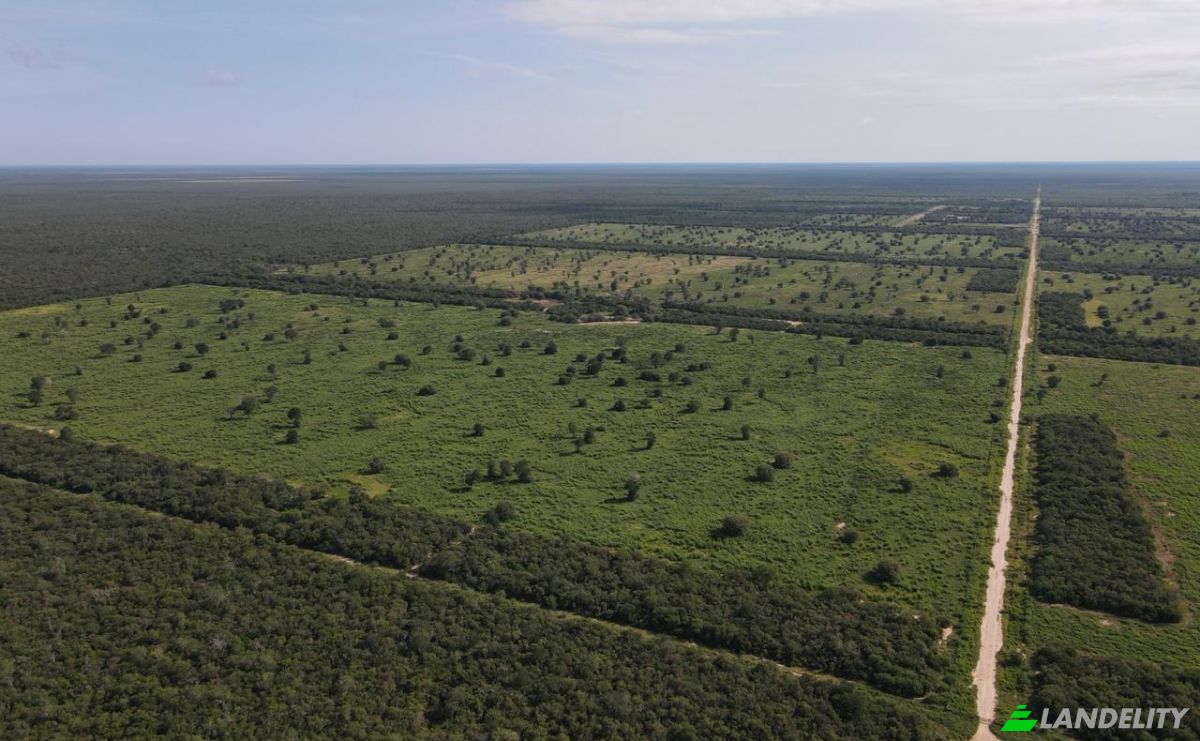 Investing/Development for Sale Via Sin Nombre, 170202, Com Indig Chaidi, Puerto Casado, Alto Paraguay Department, Paraguay. Photo 9
