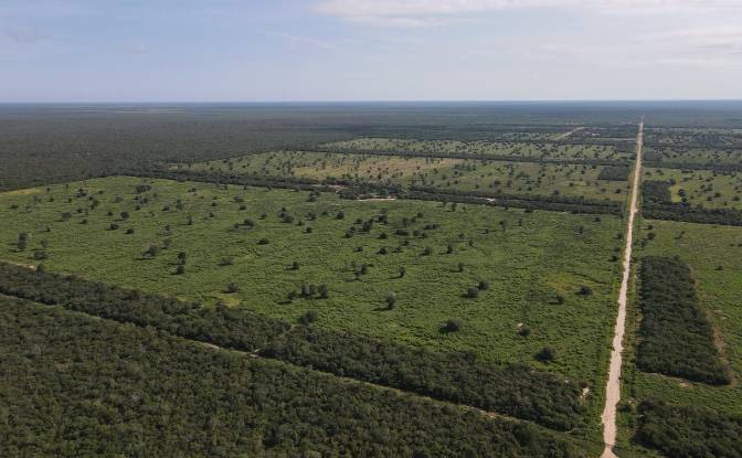 Investing/Development for Sale Via Sin Nombre. Photo#9 Investing/Development for Sale Via Sin Nombre. Photo#9