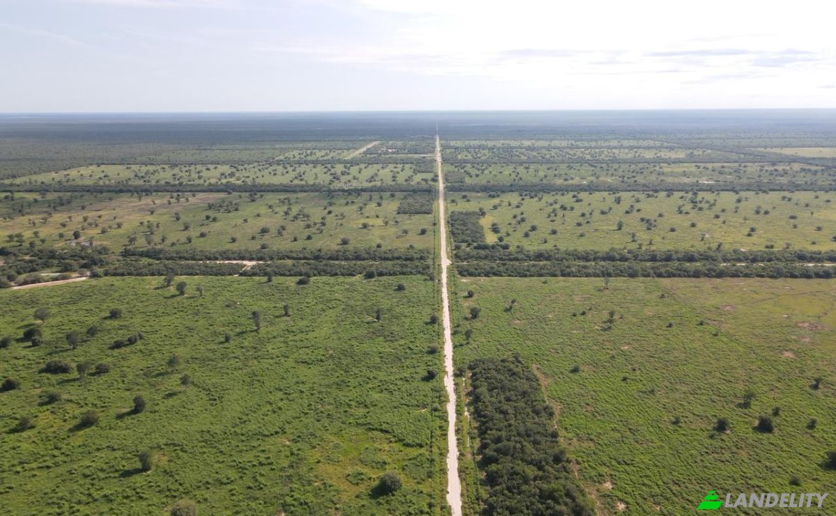 Investing/Development for Sale Via Sin Nombre, 170202, Com Indig Chaidi, Puerto Casado, Alto Paraguay Department, Paraguay. Photo 10