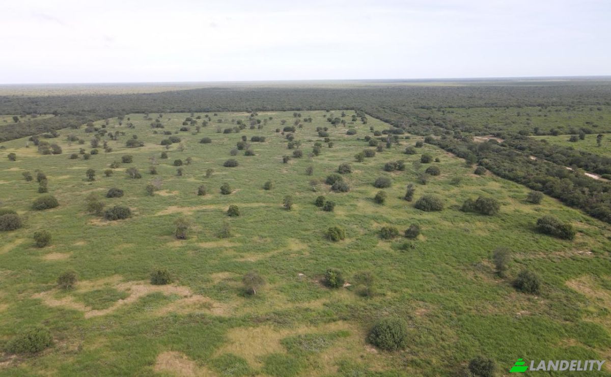 Investing/Development for Sale Via Sin Nombre, 170202, Com Indig Chaidi, Puerto Casado, Alto Paraguay Department, Paraguay. Photo 12