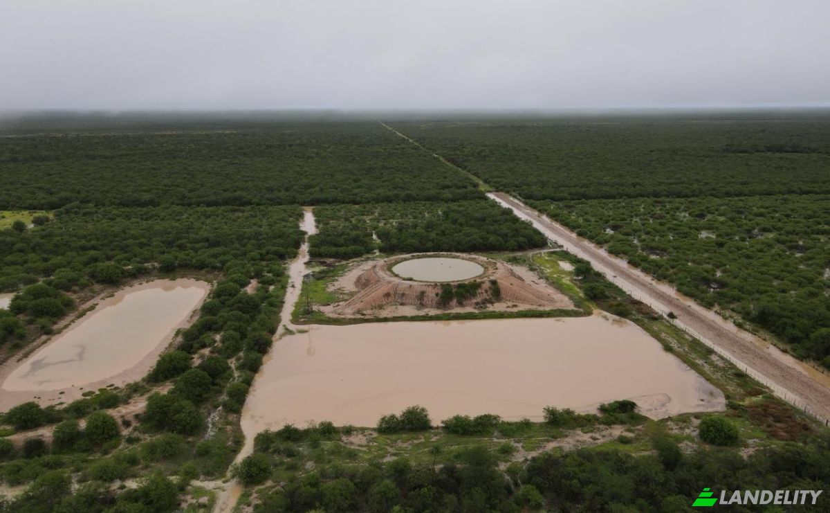 Investing/Development for Sale Via Sin Nombre, 170202, Com Indig Chaidi, Puerto Casado, Alto Paraguay Department, Paraguay. Photo 13