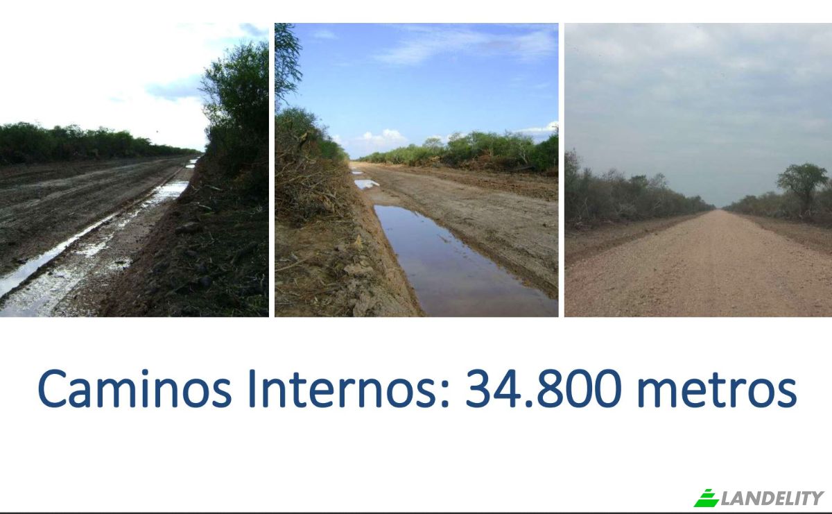 Investing/Development for Sale Via Sin Nombre, 170202, Com Indig Chaidi, Puerto Casado, Alto Paraguay Department, Paraguay. Photo 8