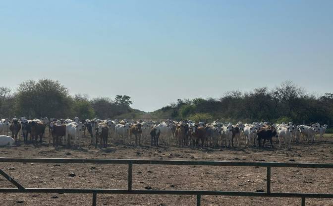 Investing/Development for Sale Via Sin Nombre. Photo#18 Investing/Development for Sale Via Sin Nombre. Photo#18