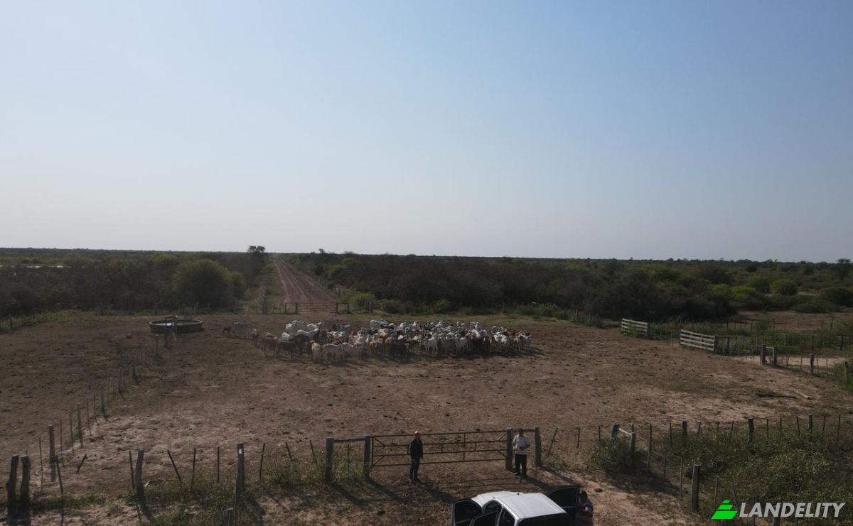Investing/Development for Sale Via Sin Nombre, 170202, Com Indig Chaidi, Puerto Casado, Alto Paraguay Department, Paraguay. Photo 19