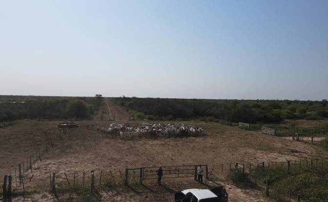 Investing/Development for Sale Via Sin Nombre. Photo#19 Investing/Development for Sale Via Sin Nombre. Photo#19