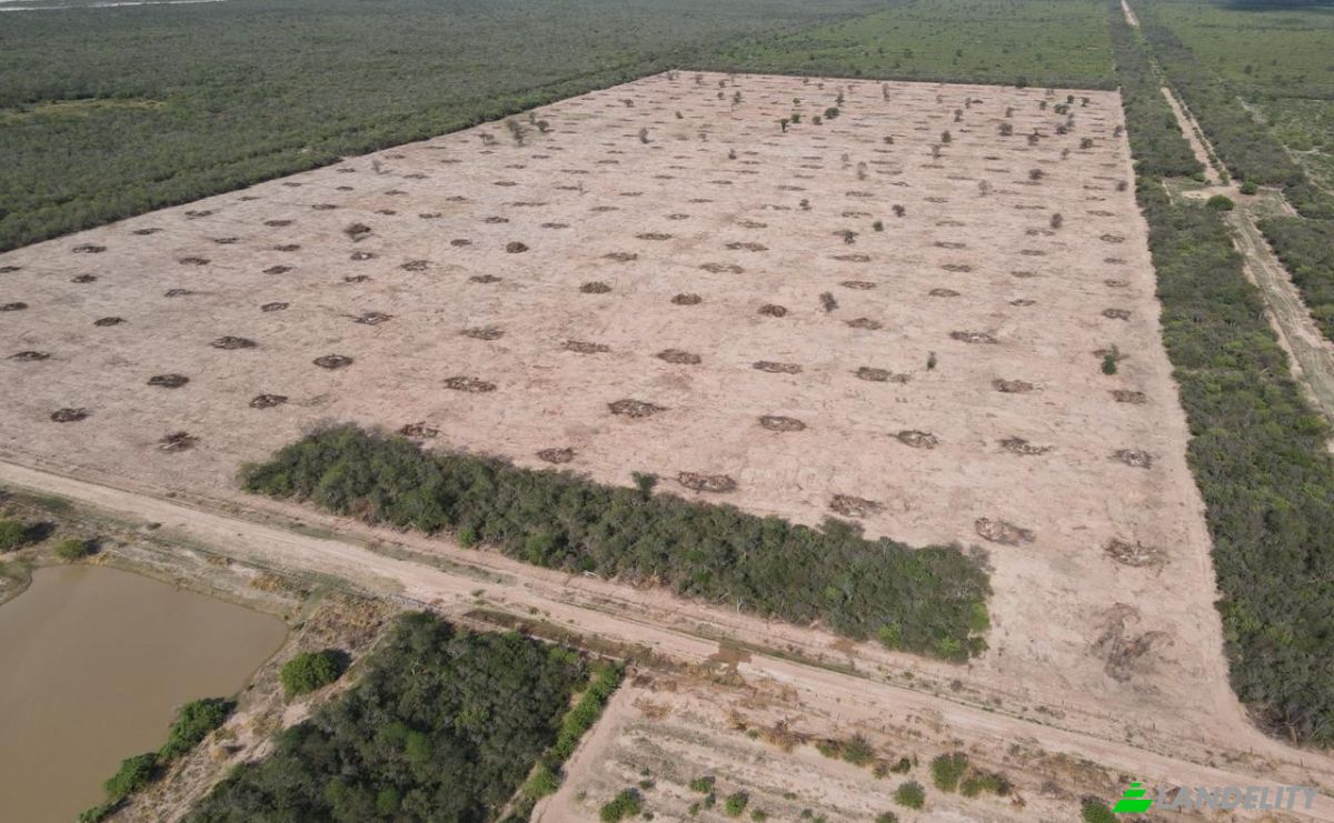 Investing/Development for Sale Via Sin Nombre, 170202, Com Indig Chaidi, Puerto Casado, Alto Paraguay Department, Paraguay. Photo 21
