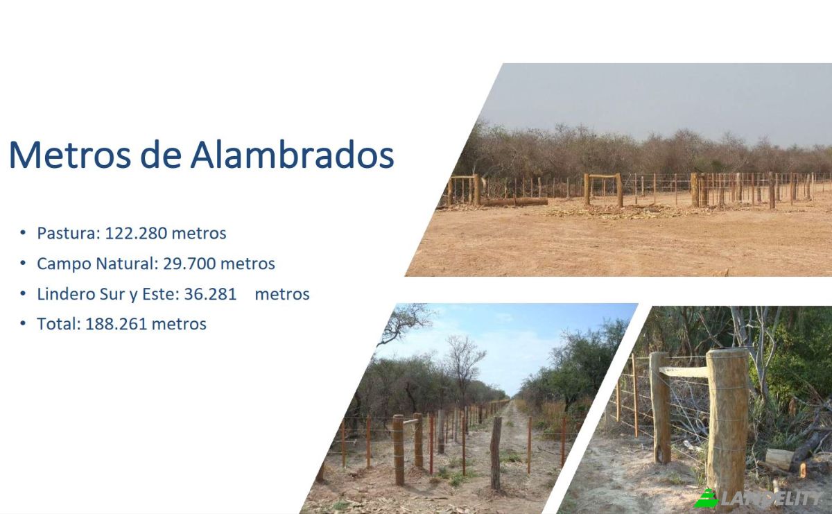 Investing/Development for Sale Via Sin Nombre, 170202, Com Indig Chaidi, Puerto Casado, Alto Paraguay Department, Paraguay. Photo 7