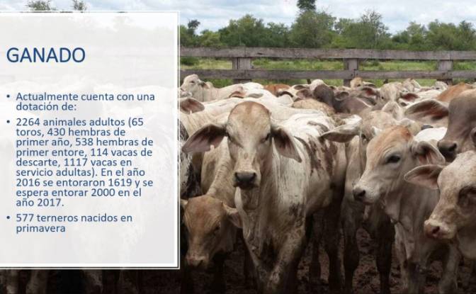 Investing/Development for Sale Via Sin Nombre. Photo#6 Investing/Development for Sale Via Sin Nombre. Photo#6