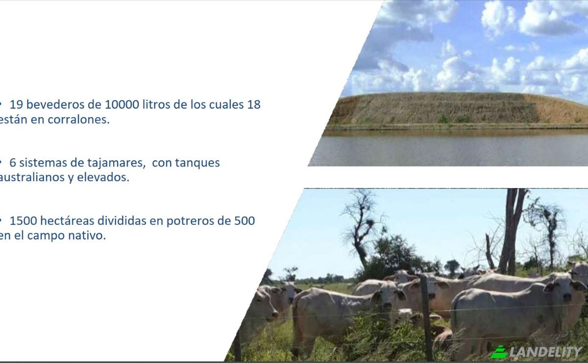 Investing/Development for Sale Via Sin Nombre, 170202, Com Indig Chaidi, Puerto Casado, Alto Paraguay Department, Paraguay. Photo 3