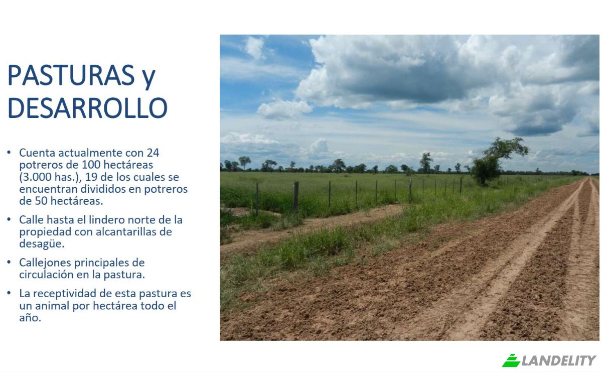 Investing/Development for Sale Via Sin Nombre, 170202, Com Indig Chaidi, Puerto Casado, Alto Paraguay Department, Paraguay. Photo 2