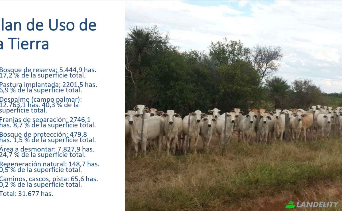 Investing/Development for Sale Via Sin Nombre, 170202, Com Indig Chaidi, Puerto Casado, Alto Paraguay Department, Paraguay. Photo 1