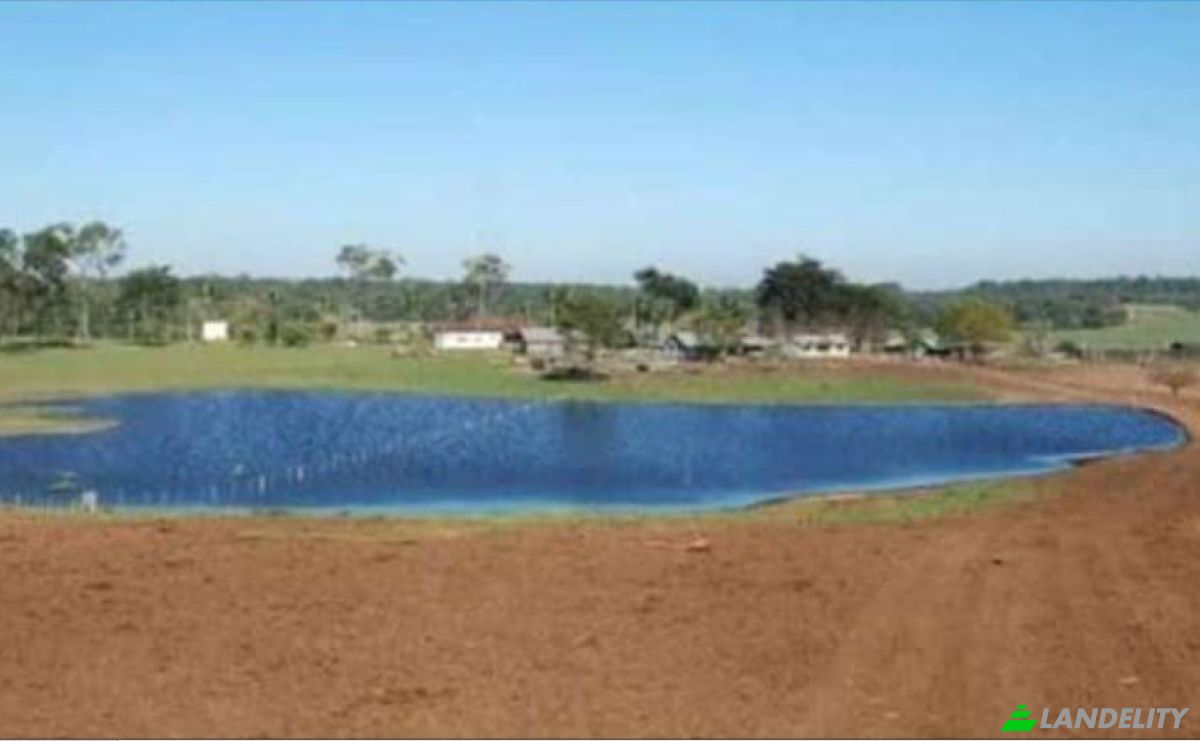Fazenda/Rancho à venda 101205 Santo Domingo 2, Santo Domingo 2, San Cristobal, Alto Parana Department, Paraguay. foto 7