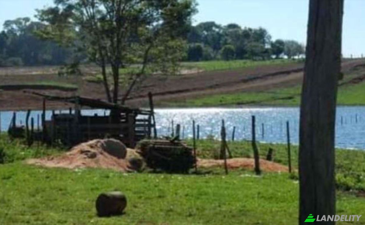 Fazenda/Rancho à venda 101205 Santo Domingo 2, Santo Domingo 2, San Cristobal, Alto Parana Department, Paraguay. foto 6