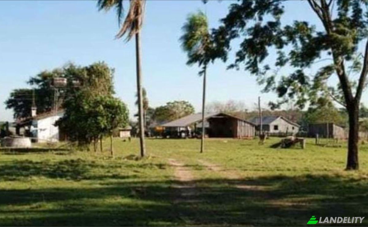 Fazenda/Rancho à venda 101205 Santo Domingo 2, Santo Domingo 2, San Cristobal, Alto Parana Department, Paraguay. foto 5
