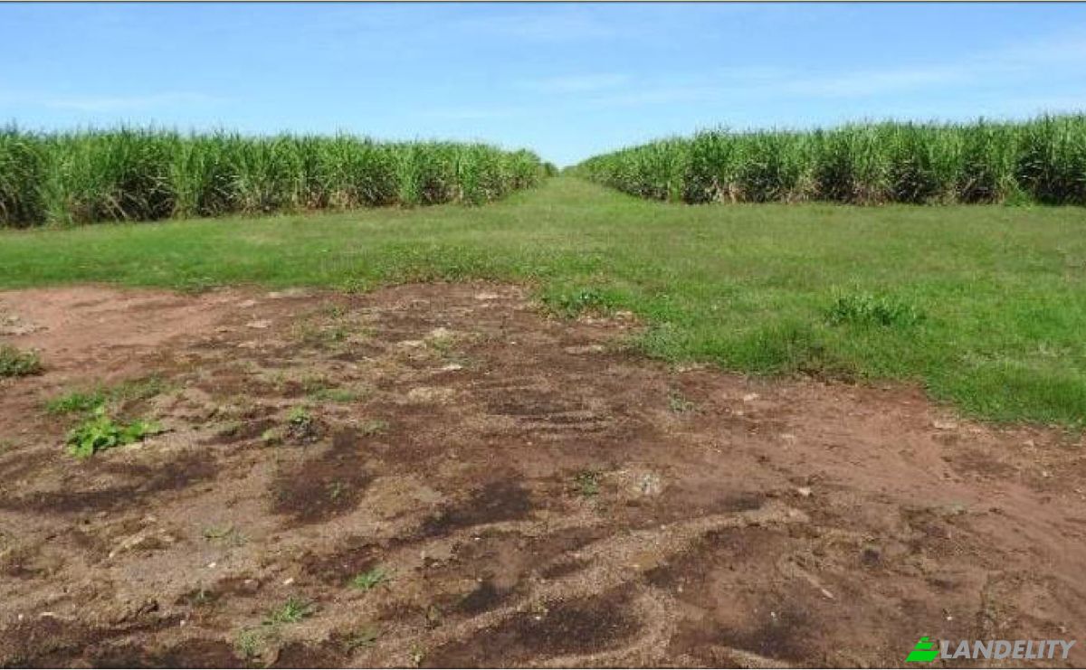Investing/Development for Sale Via Sin Nombre, 090108, Hugua PoI-Nuati, Paraguari, Paraguari Department, Paraguay. Photo 1