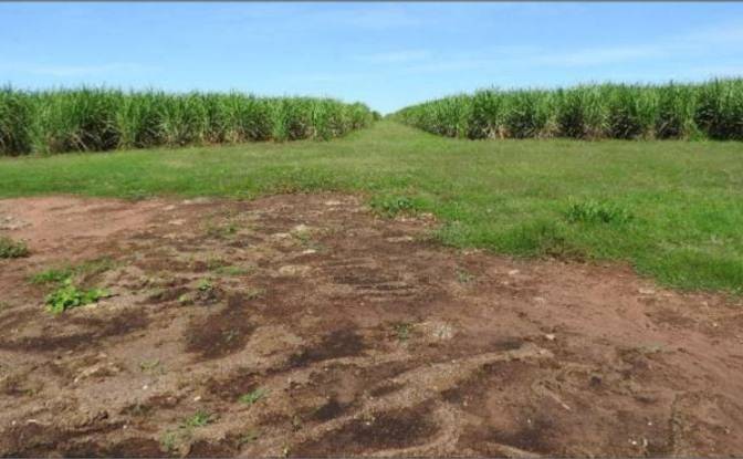 Investing/Development for Sale - Hugua Po'I-Nuati, Paraguay