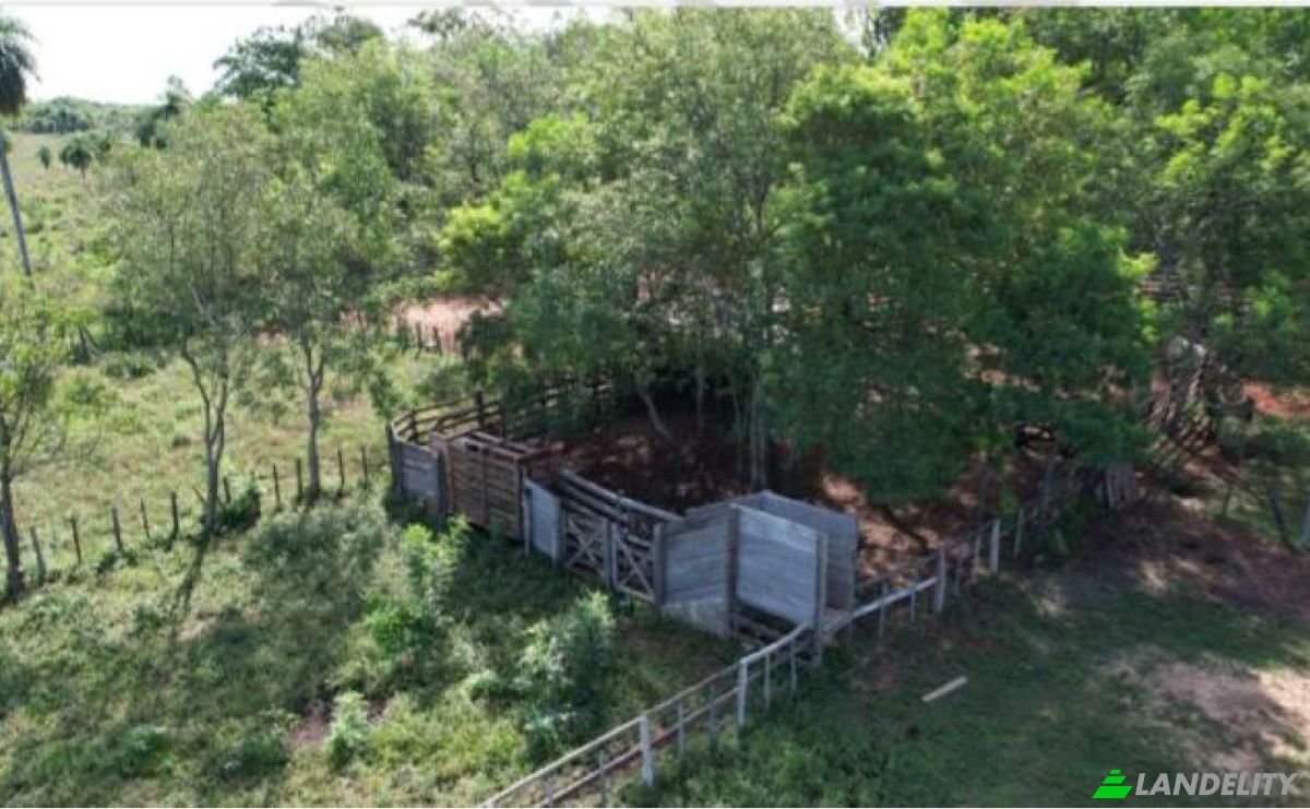 Investing/Development for Sale Via Sin Nombre, 090108, Hugua PoI-Nuati, Paraguari, Paraguari Department, Paraguay. Photo 3