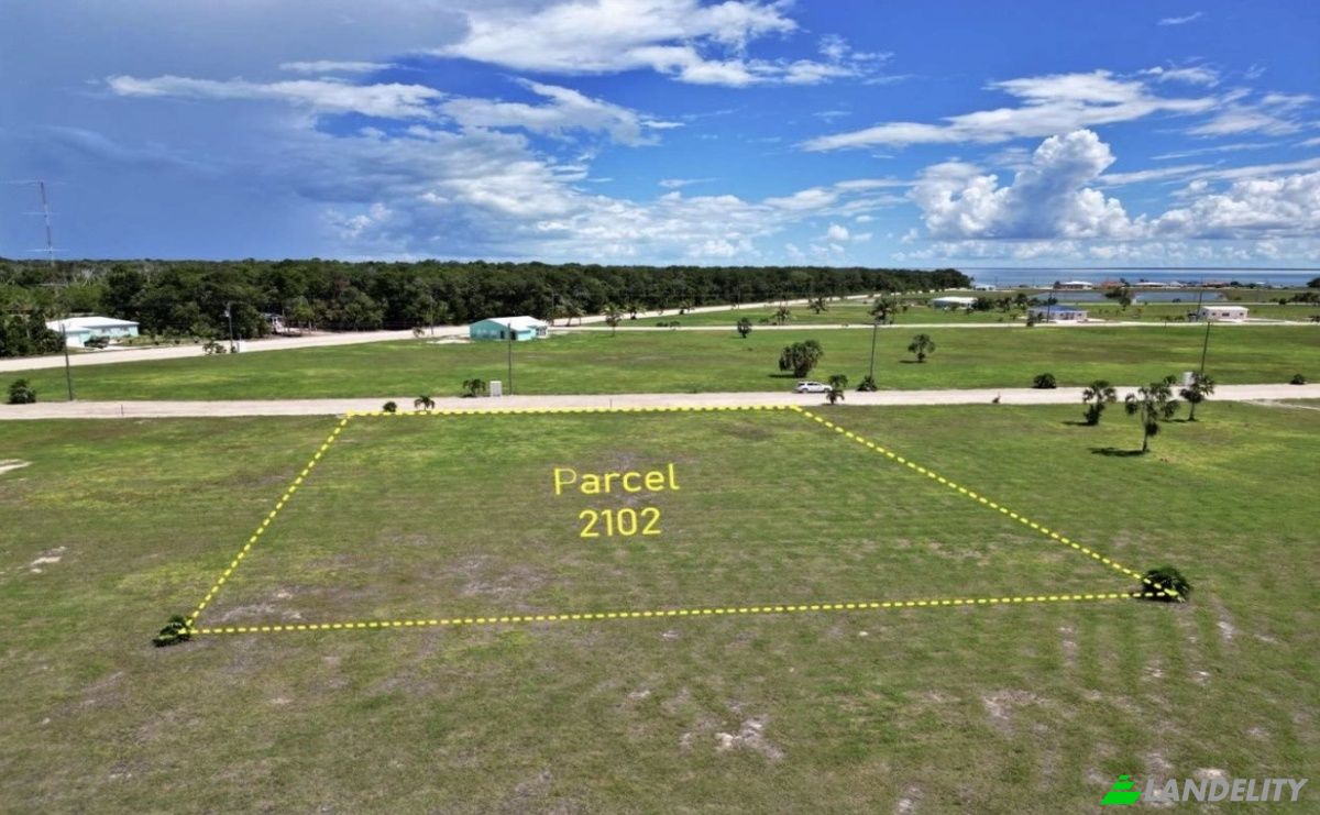 Land Lot for Sale Jaguar Palms Dr, Consejo, Corozal District, Belize. Photo 3