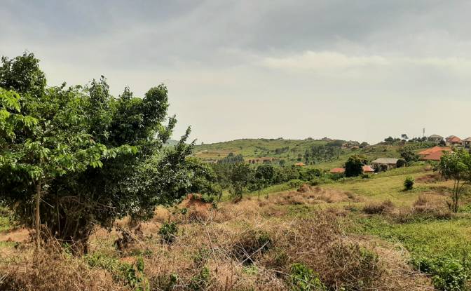 Lote de terreno en venta Nkugulutale, Wakiso. Foto#5